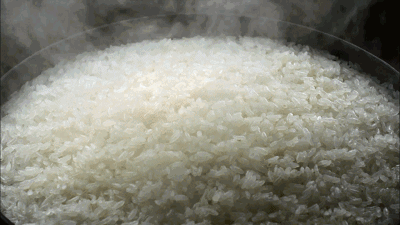 口五常新米值得你重新认识餐桌的仪式感不朽情缘游戏选大米别只看